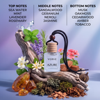 Fragrance notes and natural botanical ingredients for VERVE Azure