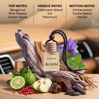 VERVE Bloom fragrance notes breakdown with bergamot, pink pepper, green apple, and iris